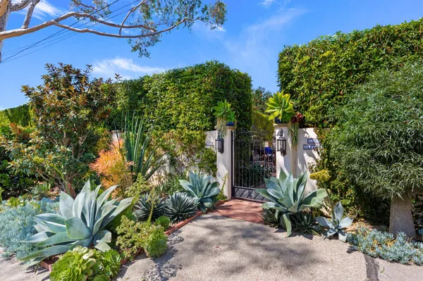 a picture of plants