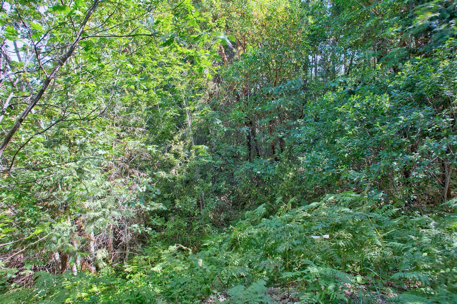603 Terrace Heights Road Selma, OR 97538 - Photo 5 of 8 Additional Photo