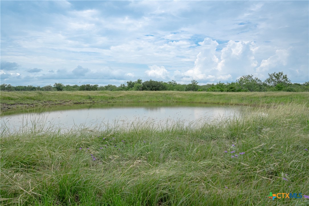 1919 Wetz Road Marion, TX 78124 - Photo 40 of 48