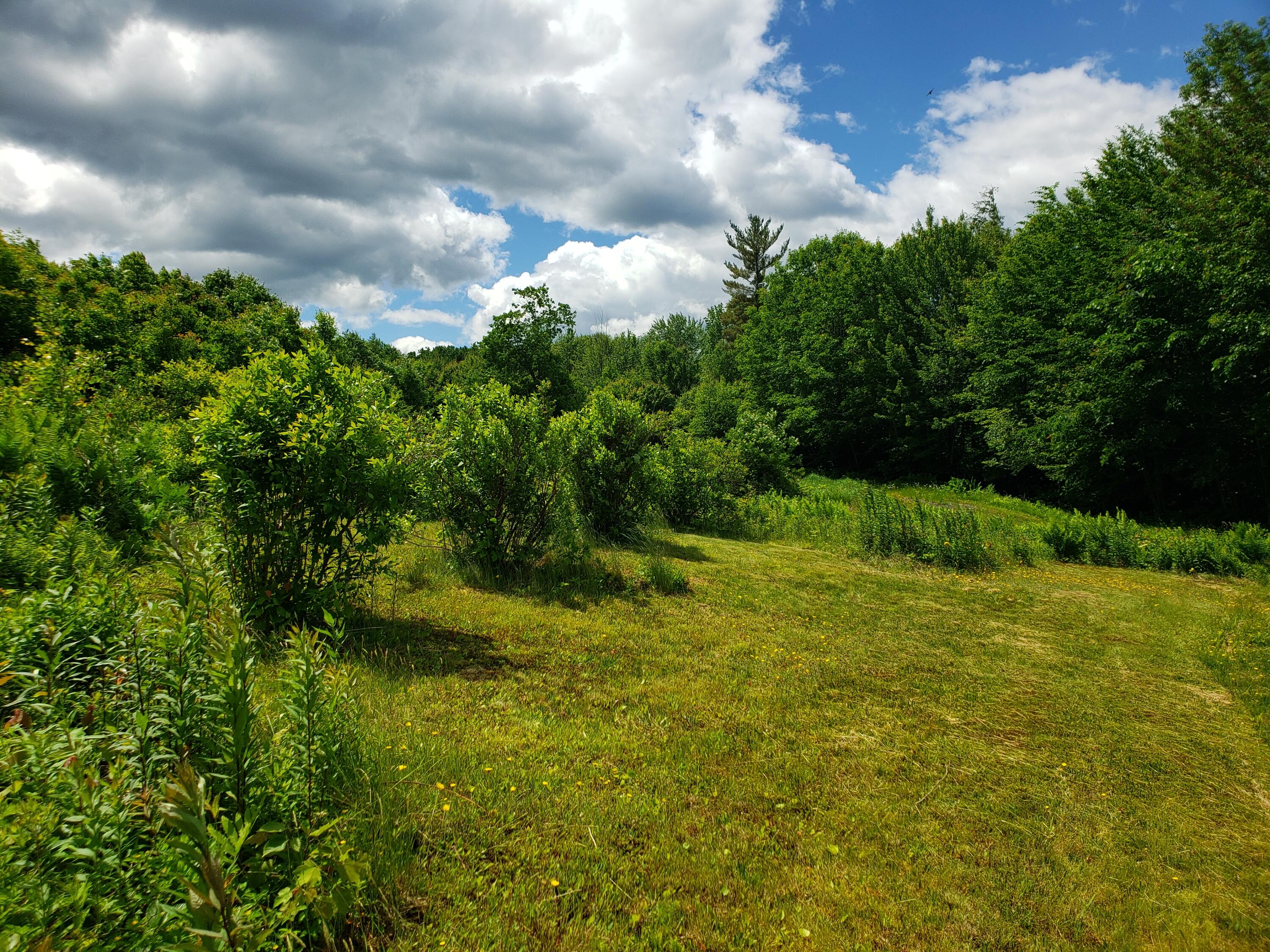 306 Gibbs Mill Road Livermore, ME 04253 - Photo 44 of 52 20220614_112620