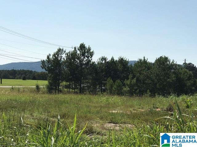 9 Easy Street, Unit 1 Anniston, AL 36207 - Photo 15 of 20