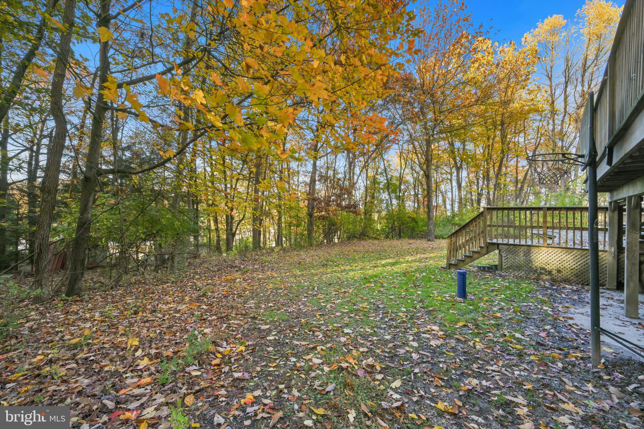 1104 Bedford Avenue Reading, PA 19607 - Photo 33 of 39 a view of a park with large trees