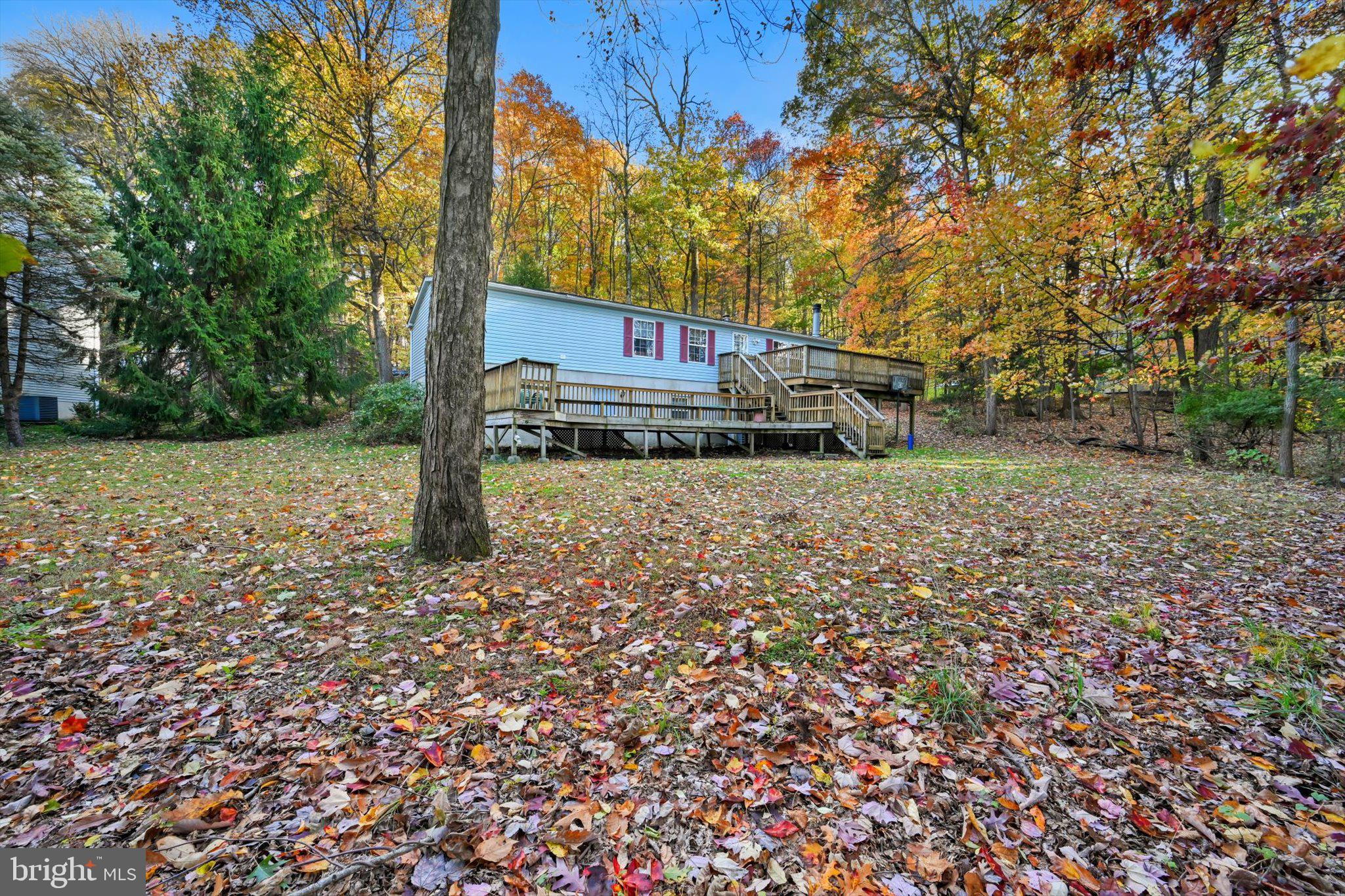 1104 Bedford Avenue Reading, PA 19607 - Photo 4 of 39 a view of a yard with large trees