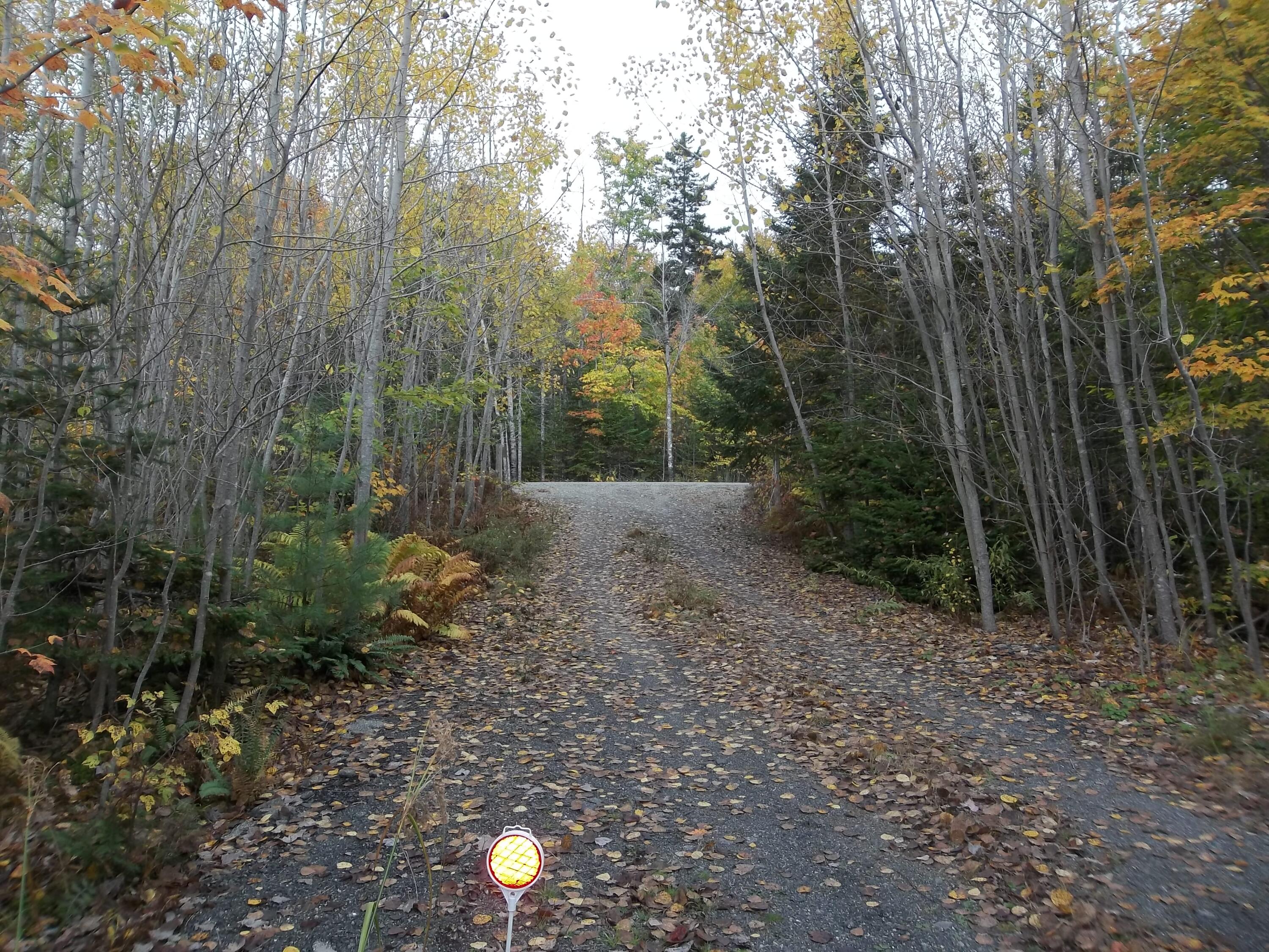 629 East Ridge Road Cathance Township, ME 04657 - Photo 8 of 10 100_1632