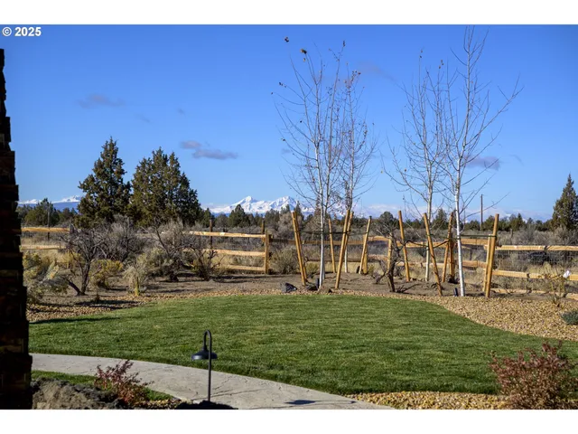 a view of a park with large trees