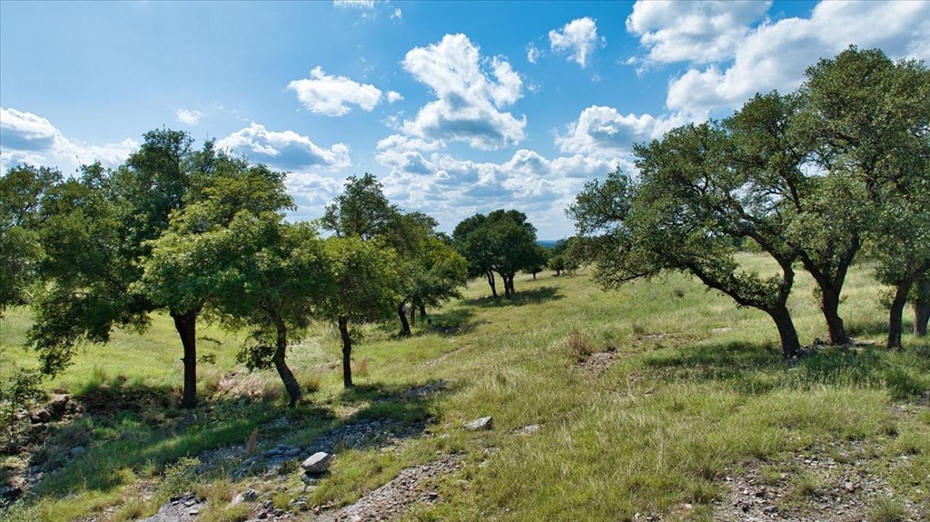 1411 Grape Creek Road Fredericksburg, TX 78624 - Photo 27 of 44
