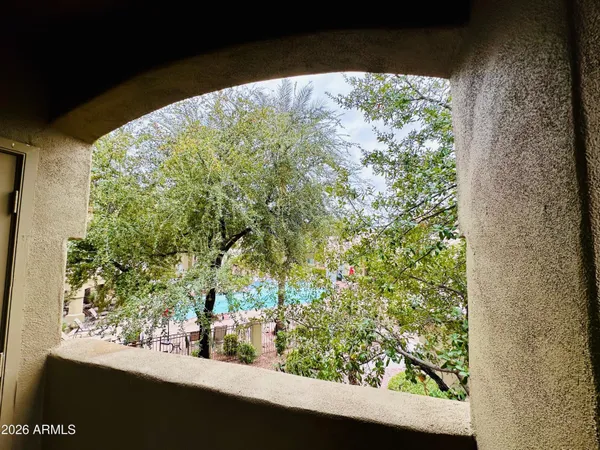 a view of a tree in a window