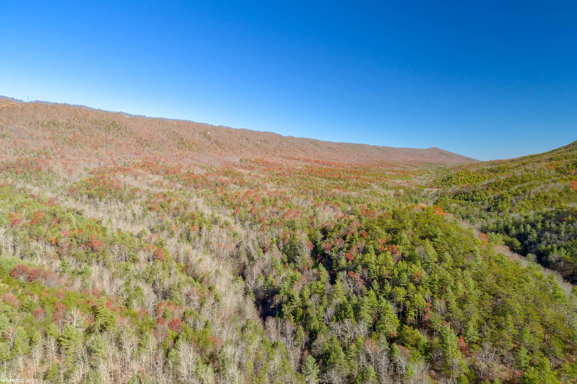 Tbd Mudlick Road Wytheville, VA 24382 - Photo 43 of 44 Gallery Image 43