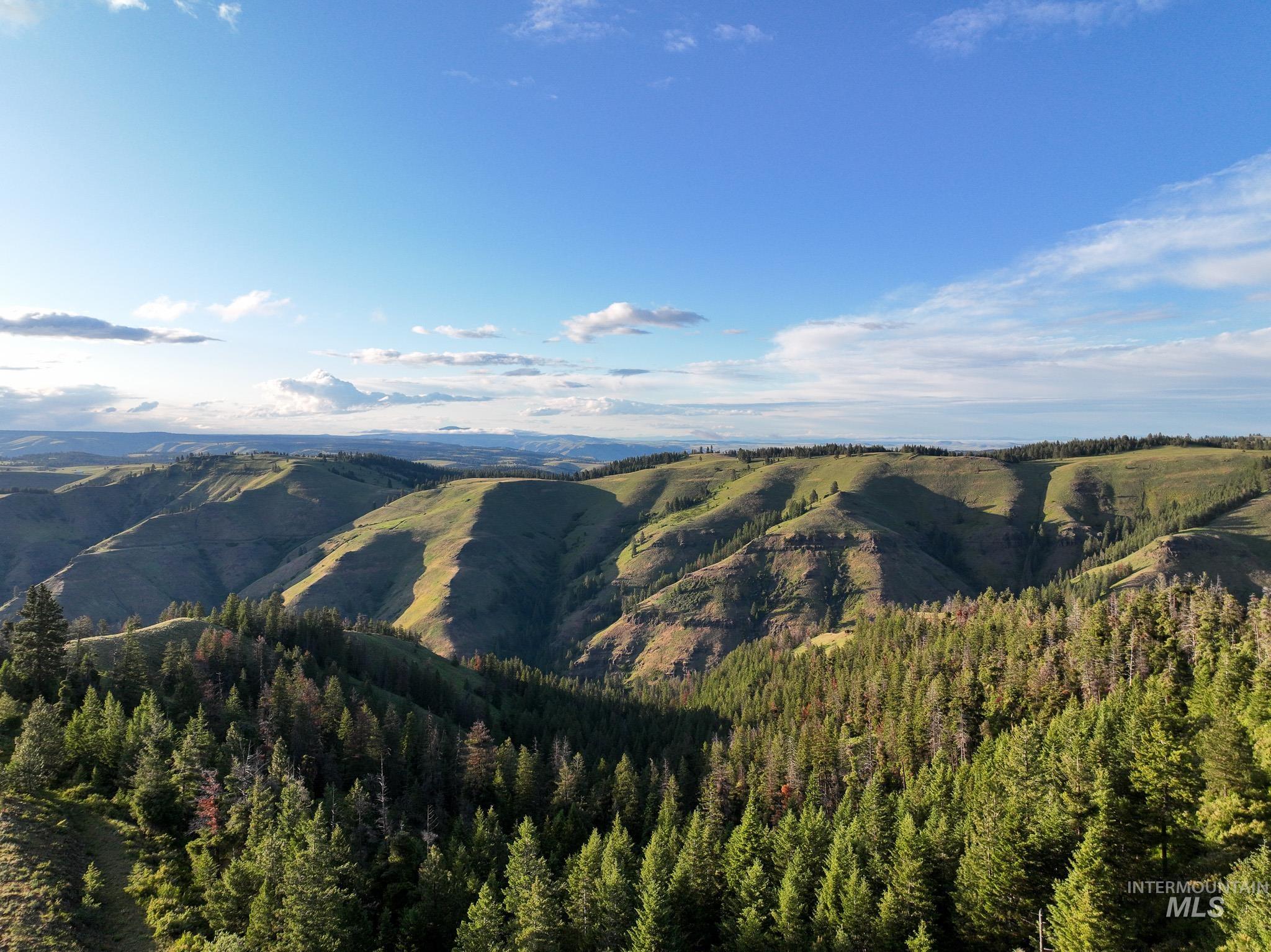 Tbd Tbd High Range Road Cottonwood, ID 83522 - Photo 11 of 24