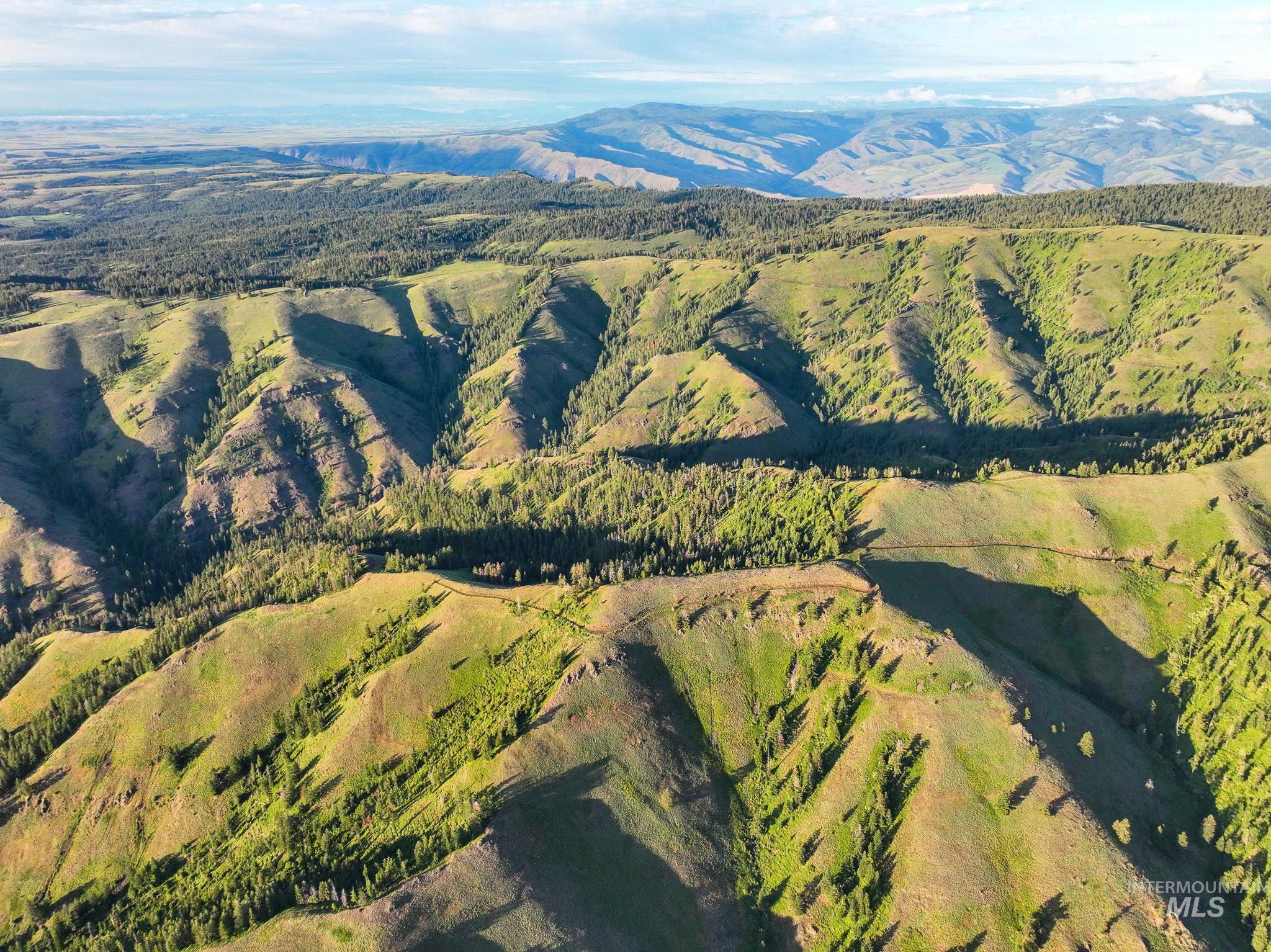 Tbd Tbd High Range Road Cottonwood, ID 83522 - Photo 15 of 24