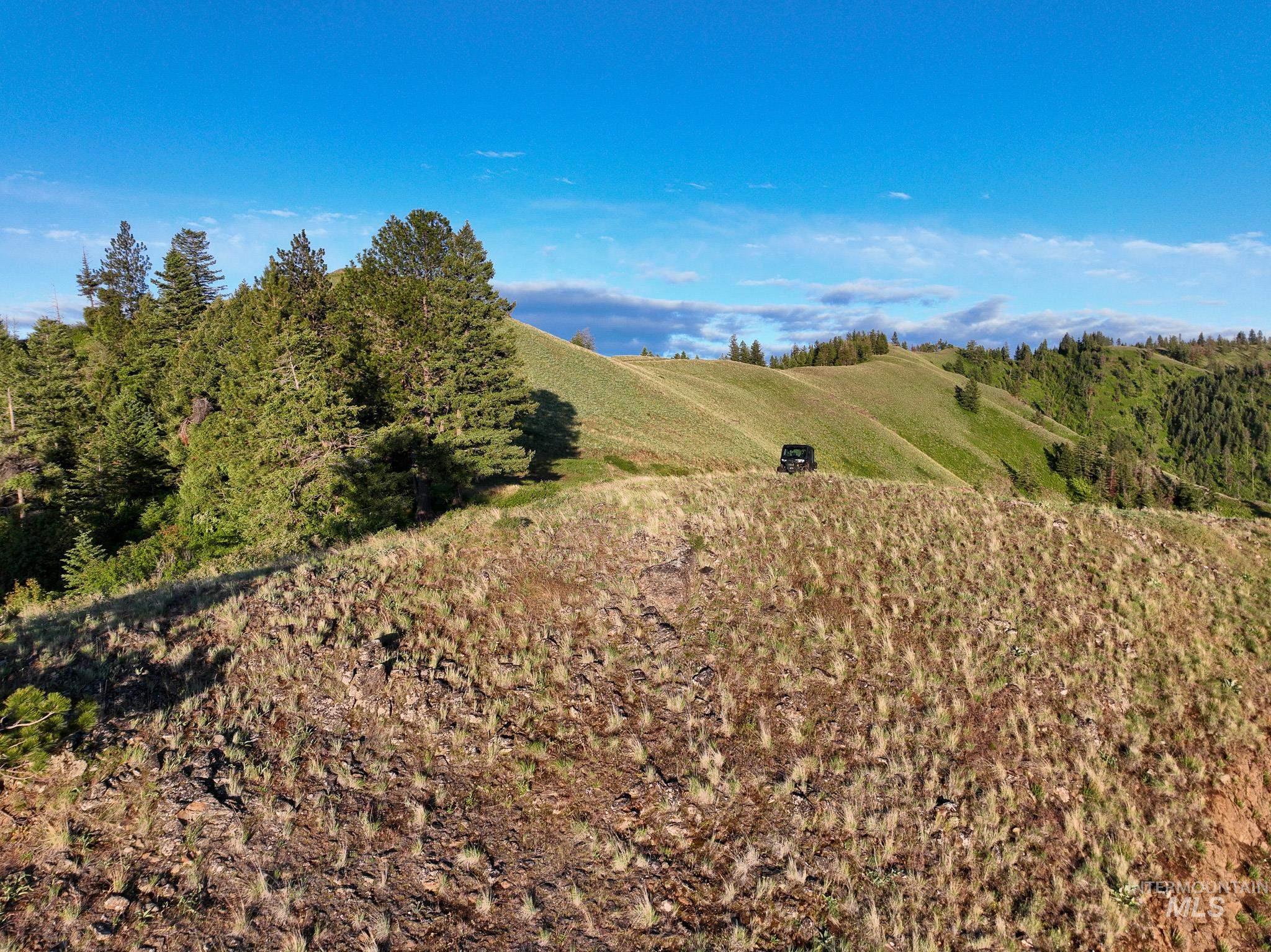 Tbd Tbd High Range Road Cottonwood, ID 83522 - Photo 19 of 24