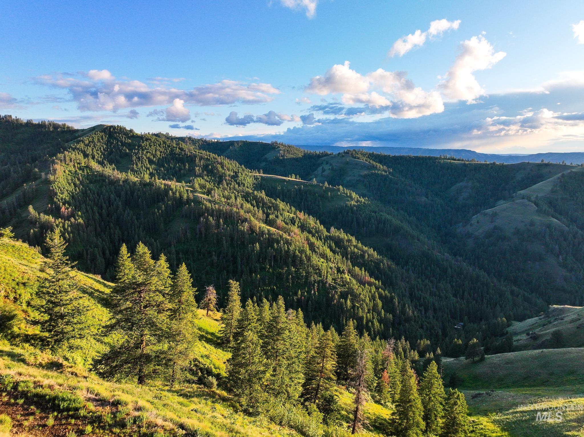 Tbd Tbd High Range Road Cottonwood, ID 83522 - Photo 4 of 24