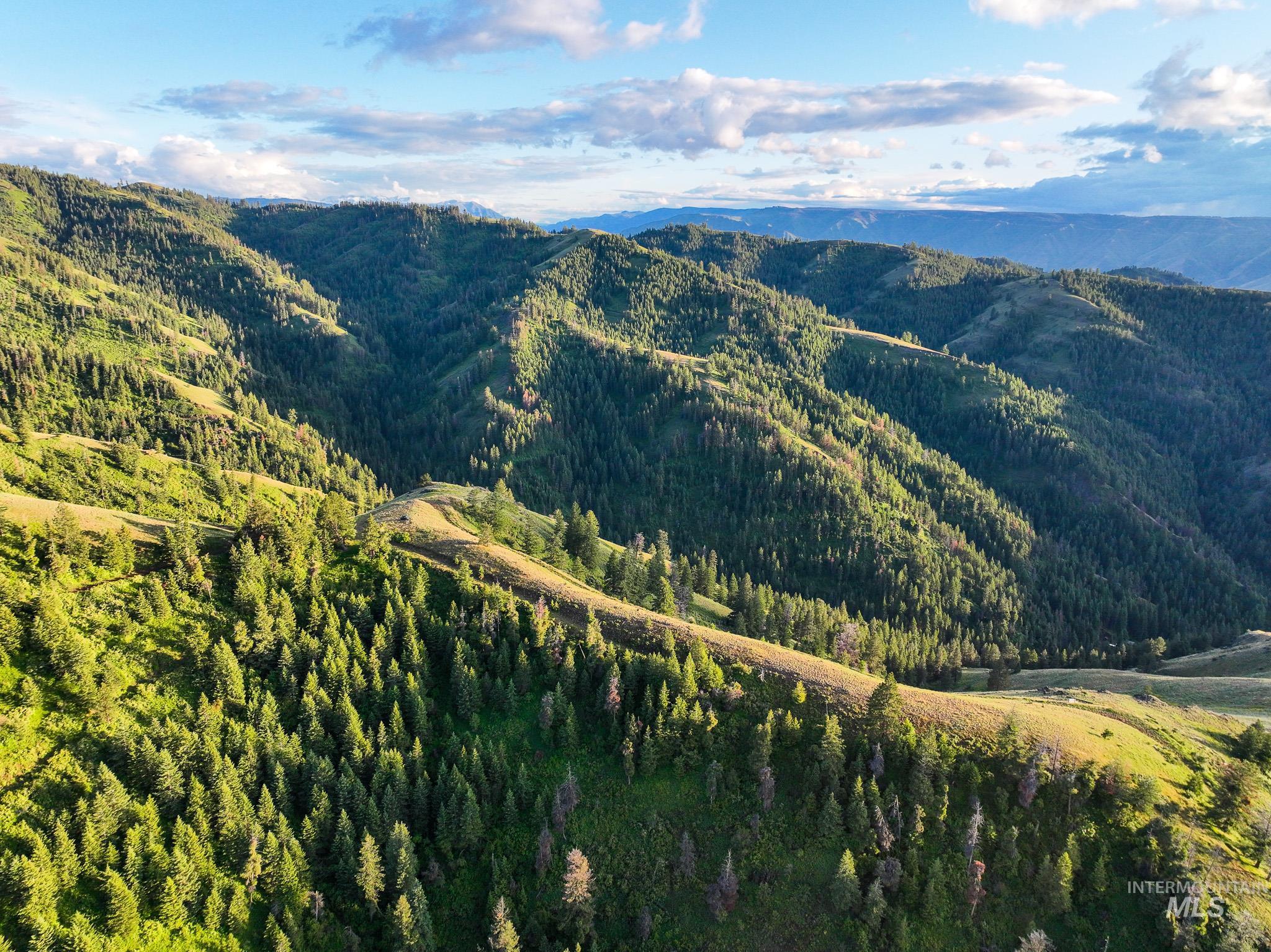 Tbd Tbd High Range Road Cottonwood, ID 83522 - Photo 5 of 24