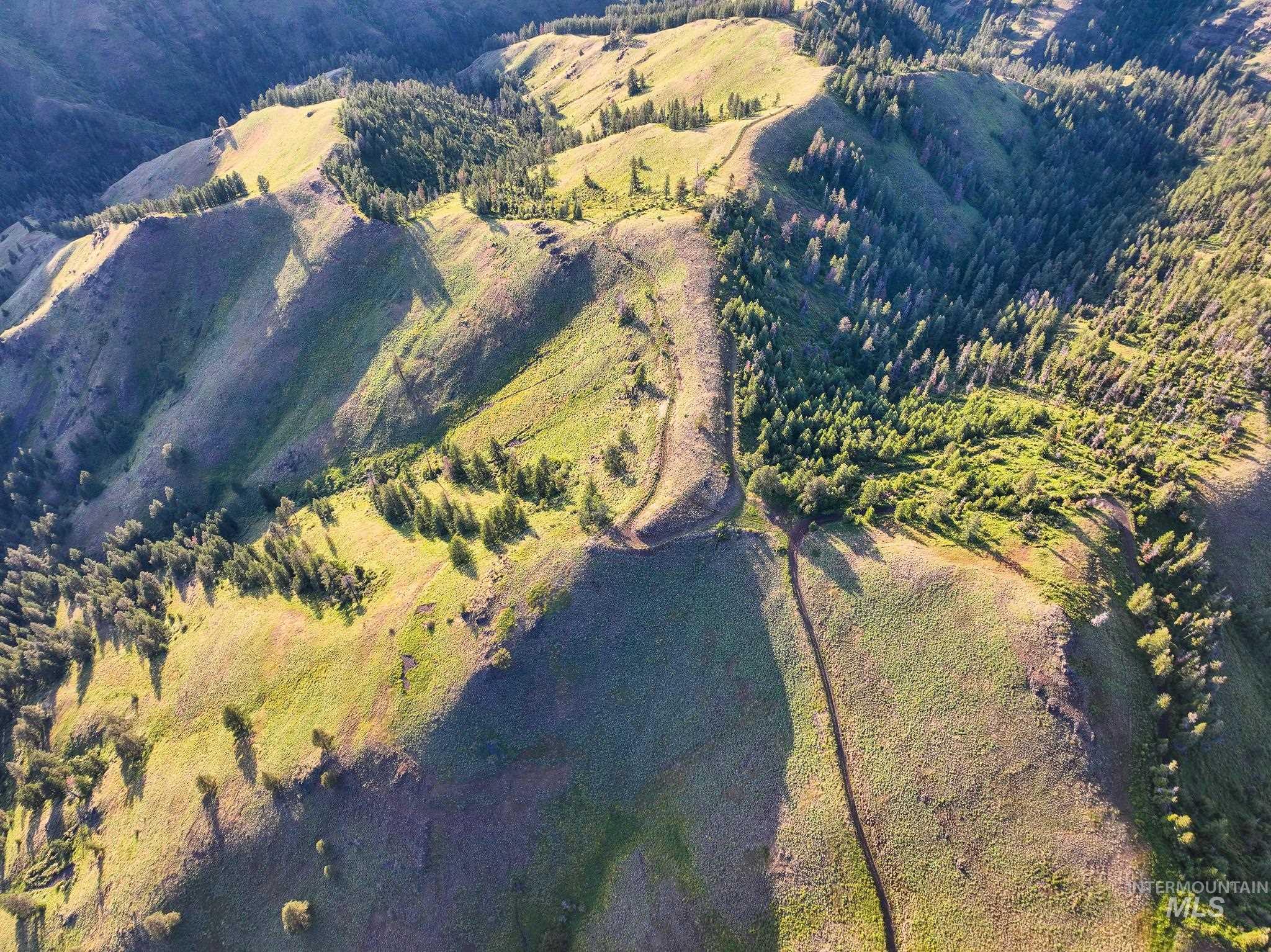 Tbd Tbd High Range Road Cottonwood, ID 83522 - Photo 7 of 24