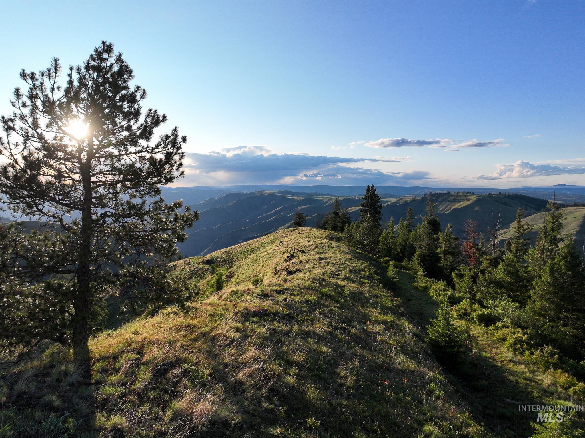 Tbd Tbd High Range Road Cottonwood, ID 83522 - Photo 9 of 24