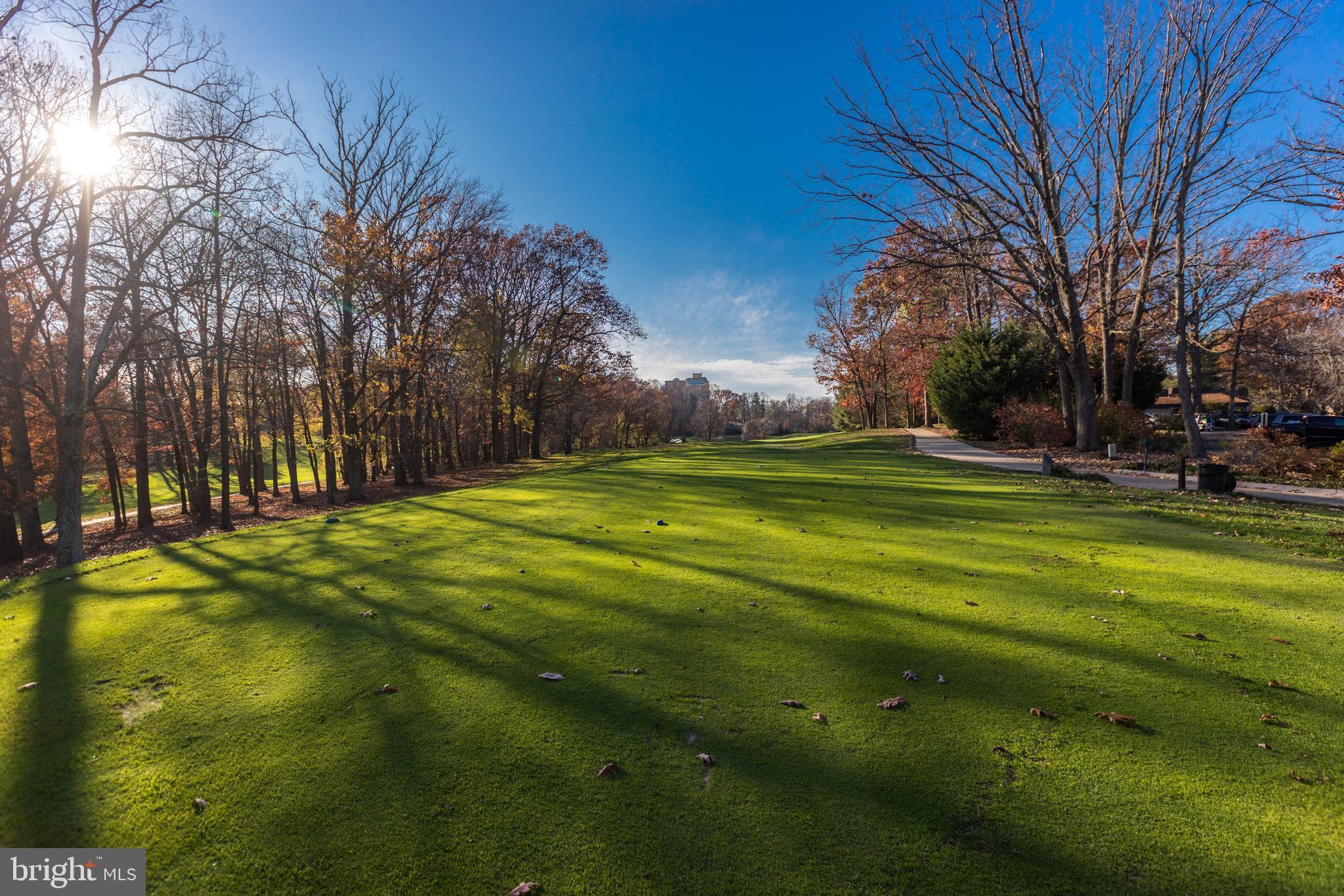 1775 Wainwright Drive Reston, VA 20190 - Photo 37 of 44 Reston has 2 Golf Courses