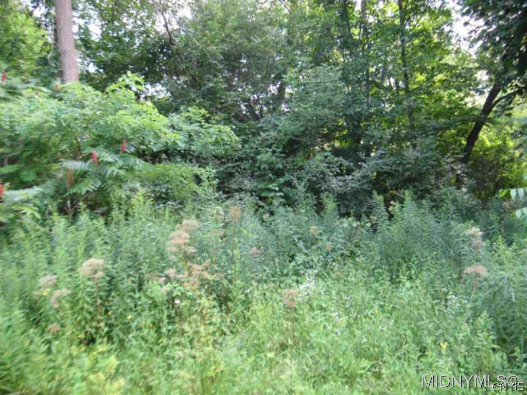 31 Clinton Road New Hartford, NY 13413 - Photo 1 of 1 Gallery Image 1