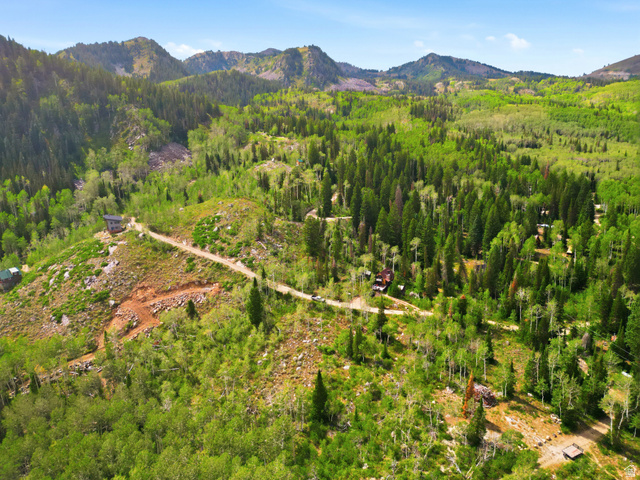 2495 West Spruce Road Park City, UT 84060 - Photo 3 of 8 Mountainous terrain with natural landscaping, featuring dense evergreen and deciduous trees