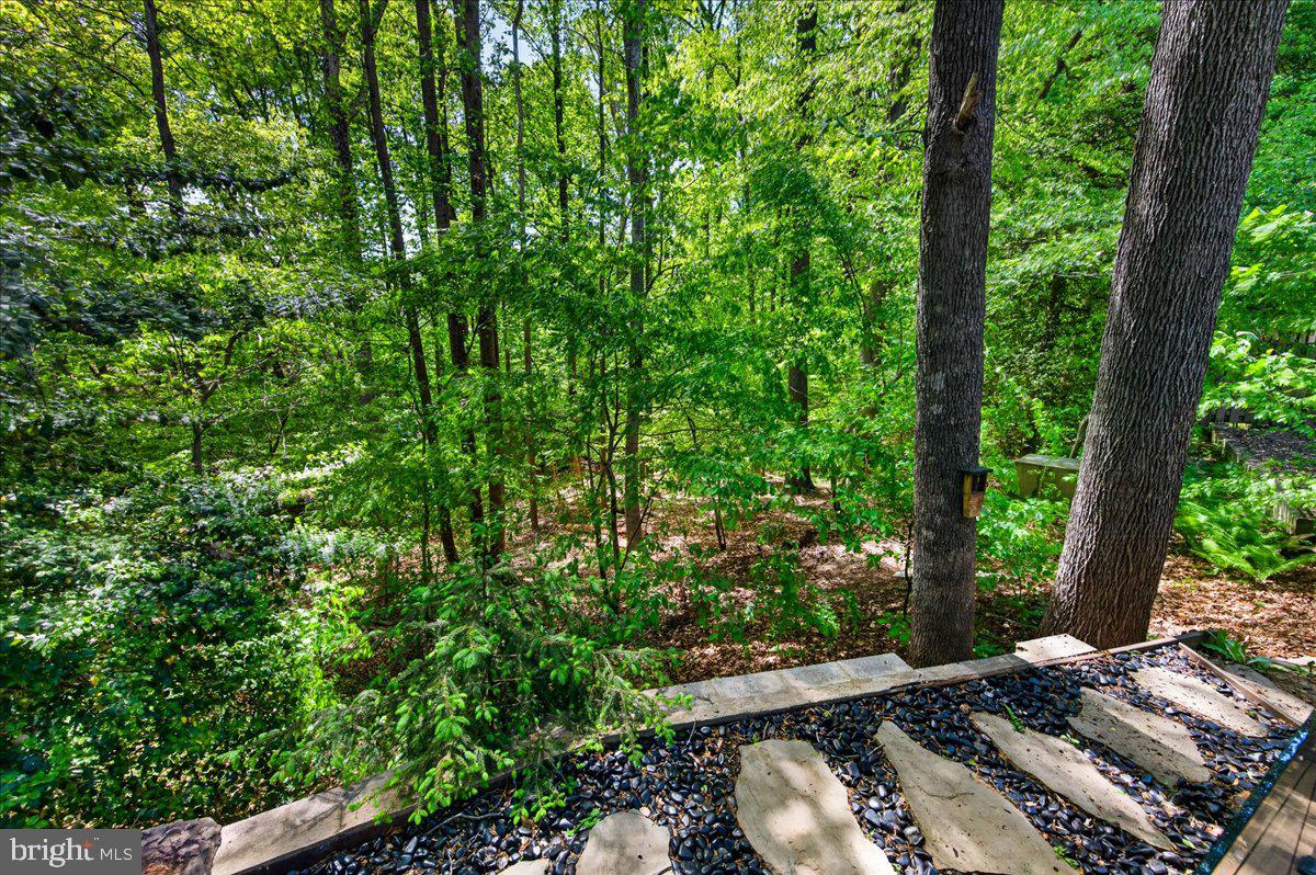 8014 Grandview Court Springfield, VA 22153 - Photo 10 of 45