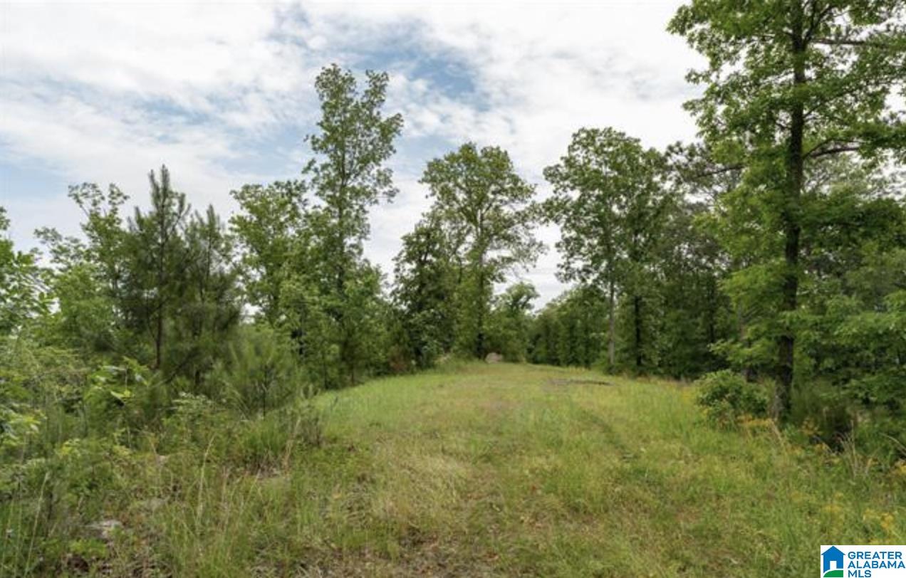 3459 Springstone Trail, Unit LOT 2 Leeds, AL 35094 - Photo 17 of 21 Gallery Image 17