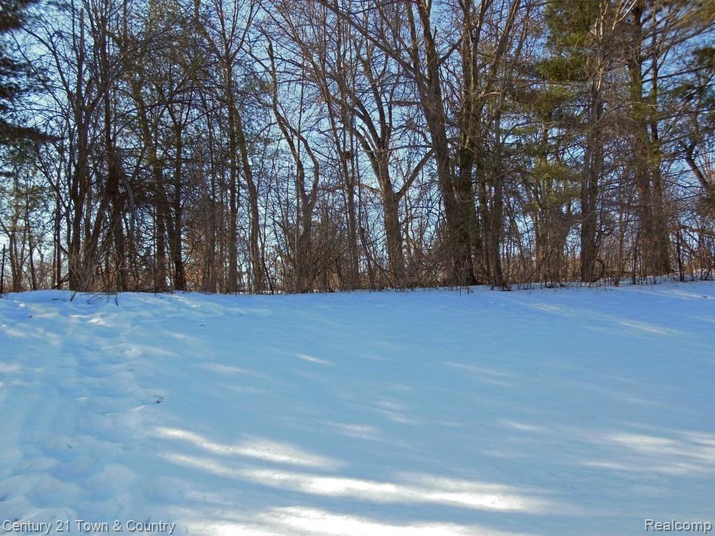 42 Eagle Ridge Road Lake Orion, MI 48360 - Photo 24 of 30