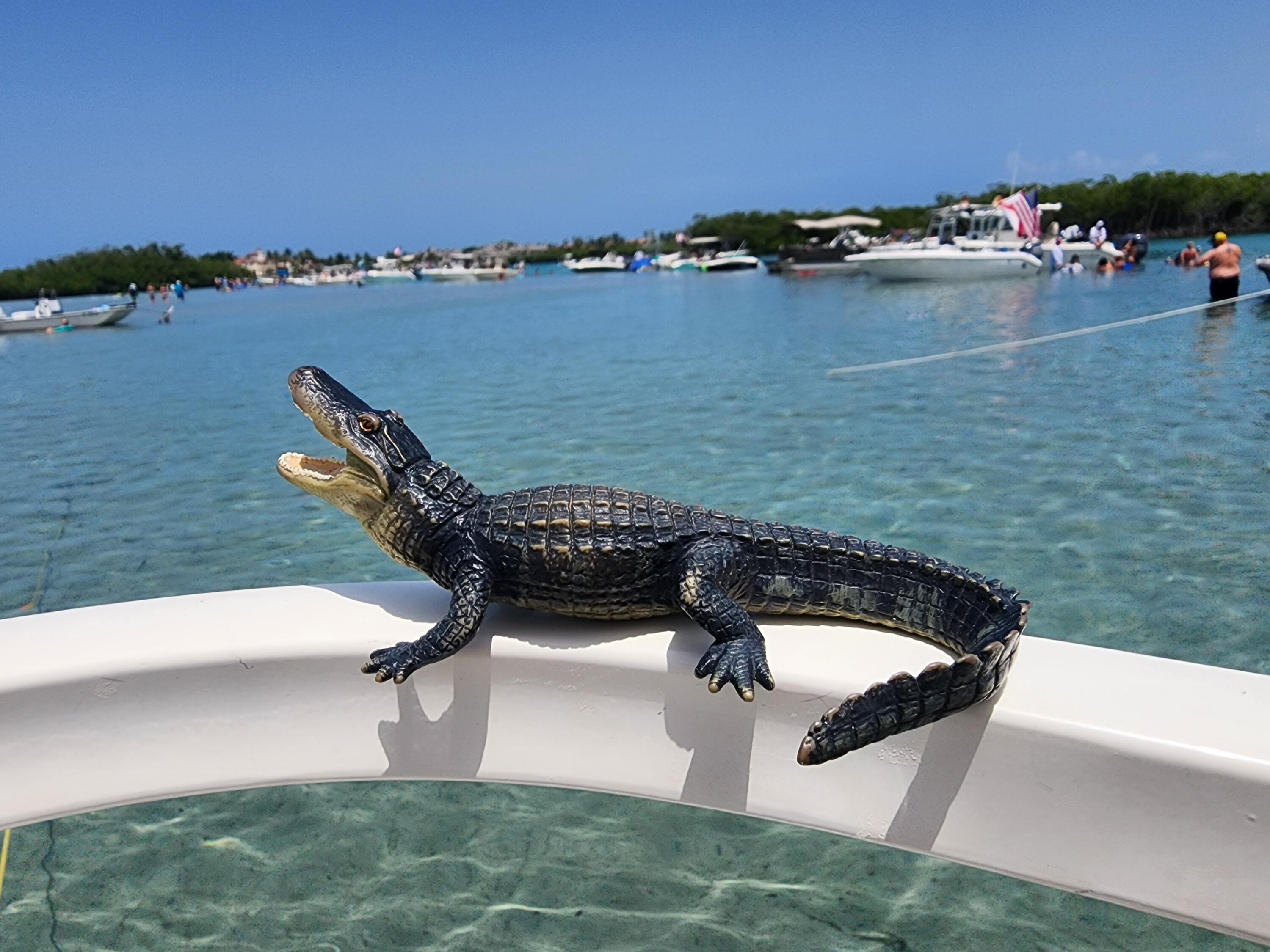 800 Northwest Fork Road, Unit 23 Stuart, FL 34994 - Photo 61 of 84 Loving the Treasure Coast Life