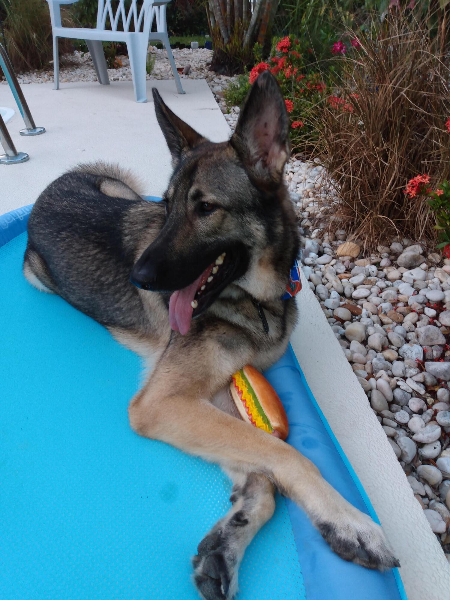 800 Northwest Fork Road, Unit 23 Stuart, FL 34994 - Photo 78 of 84 Loving the Treasure Coast Life