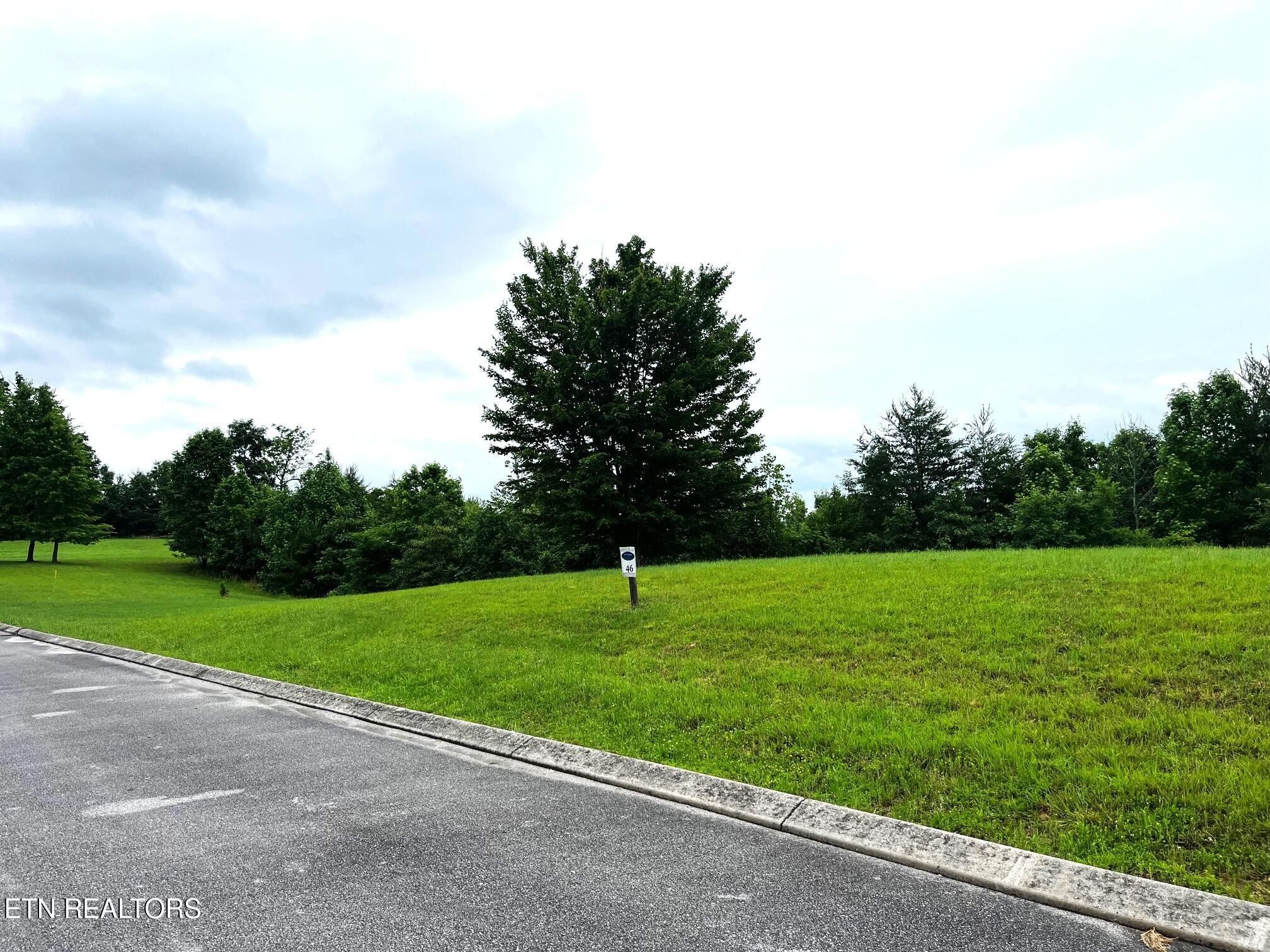 295 River Run Trail Spring City, TN 37381 - Photo 23 of 26