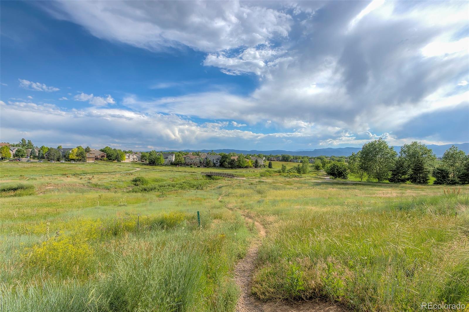 456 West Angus Way Highlands Ranch, CO 80129 - Photo 37 of 40 a view of an ocean