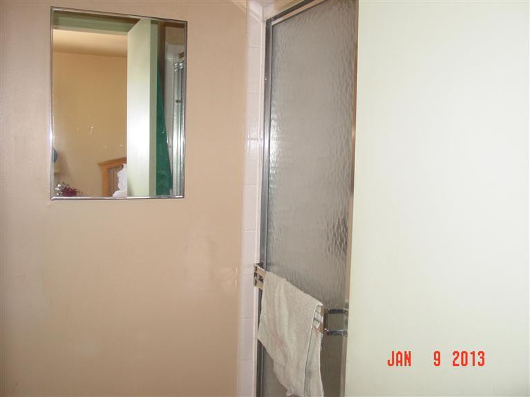 3824 Golfside Road Ypsilanti, MI 48197 - Photo 13 of 21 Master bath has a shower