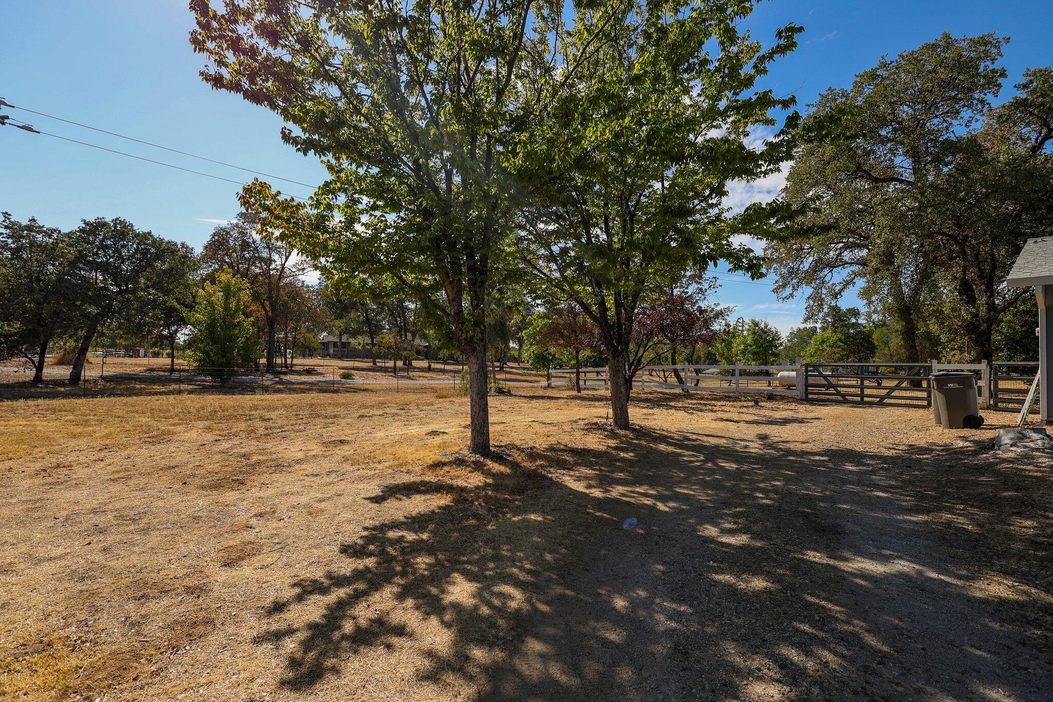 21730 Old Alturas Road Redding, CA 96003 - Photo 30 of 40 25-web-or-mls-8Q0A2843