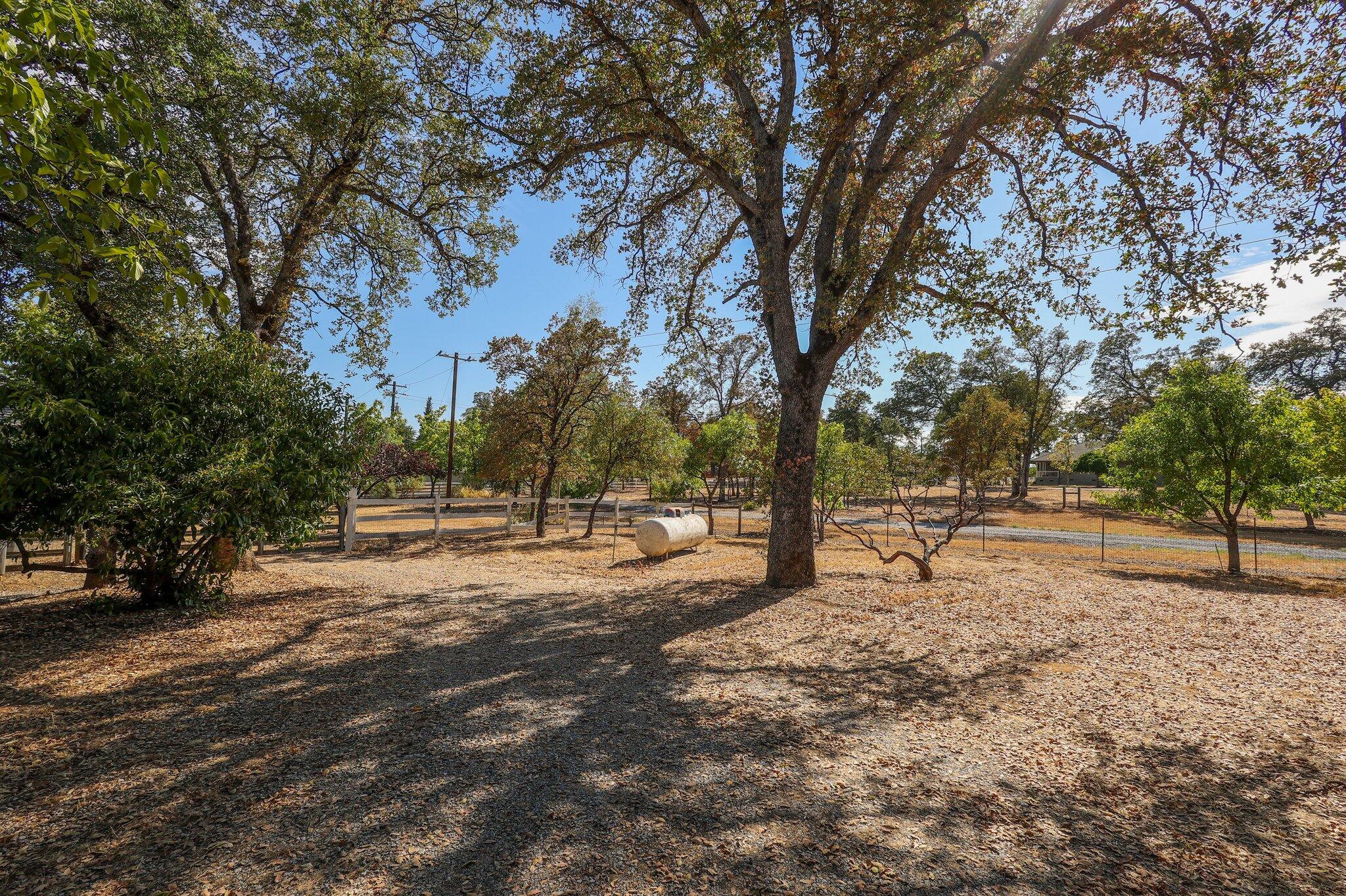 21730 Old Alturas Road Redding, CA 96003 - Photo 38 of 40 38-web-or-mls-8Q0A2916