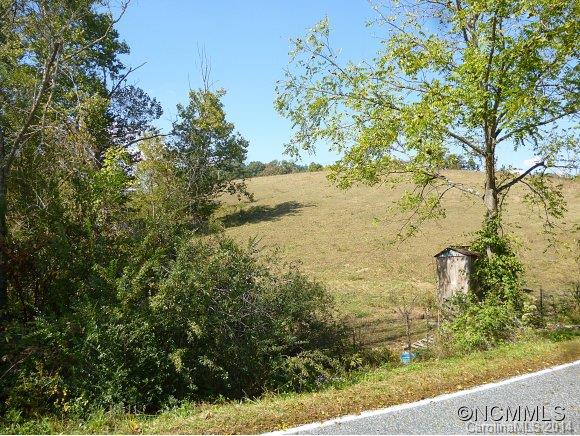 54 Sprouse Town Road Weaverville, NC 28787 - Photo 1 of 16 Gallery Image 1
