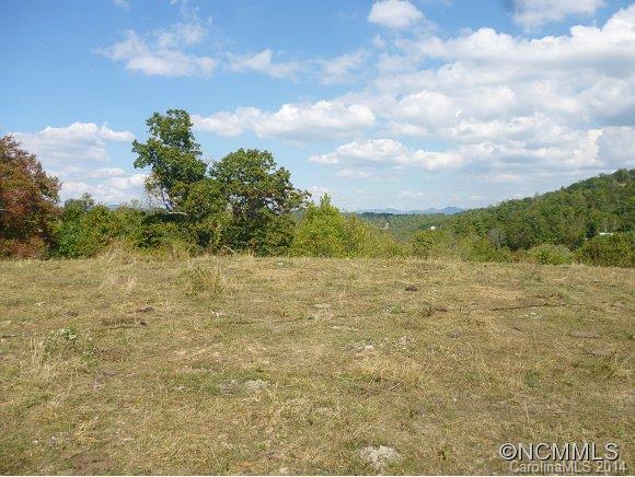 54 Sprouse Town Road Weaverville, NC 28787 - Photo 11 of 16 Gallery Image 11
