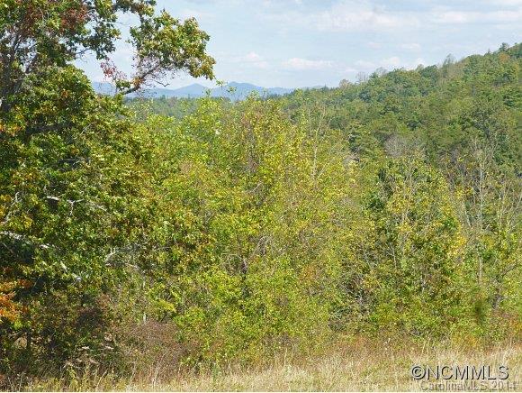 54 Sprouse Town Road Weaverville, NC 28787 - Photo 13 of 16 Gallery Image 13