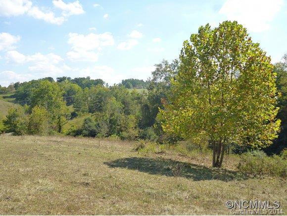 54 Sprouse Town Road Weaverville, NC 28787 - Photo 7 of 16 Gallery Image 7