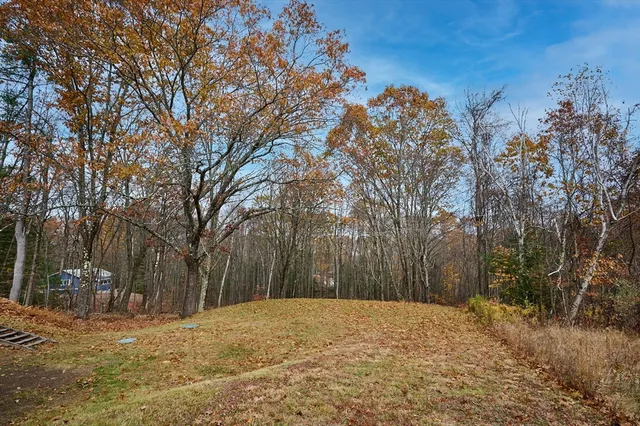 an aerial view of a house with a yard and trees