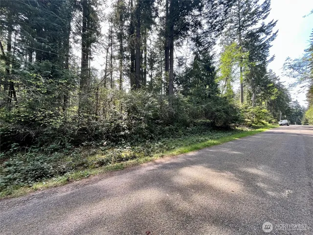 a view of a yard with plants and trees