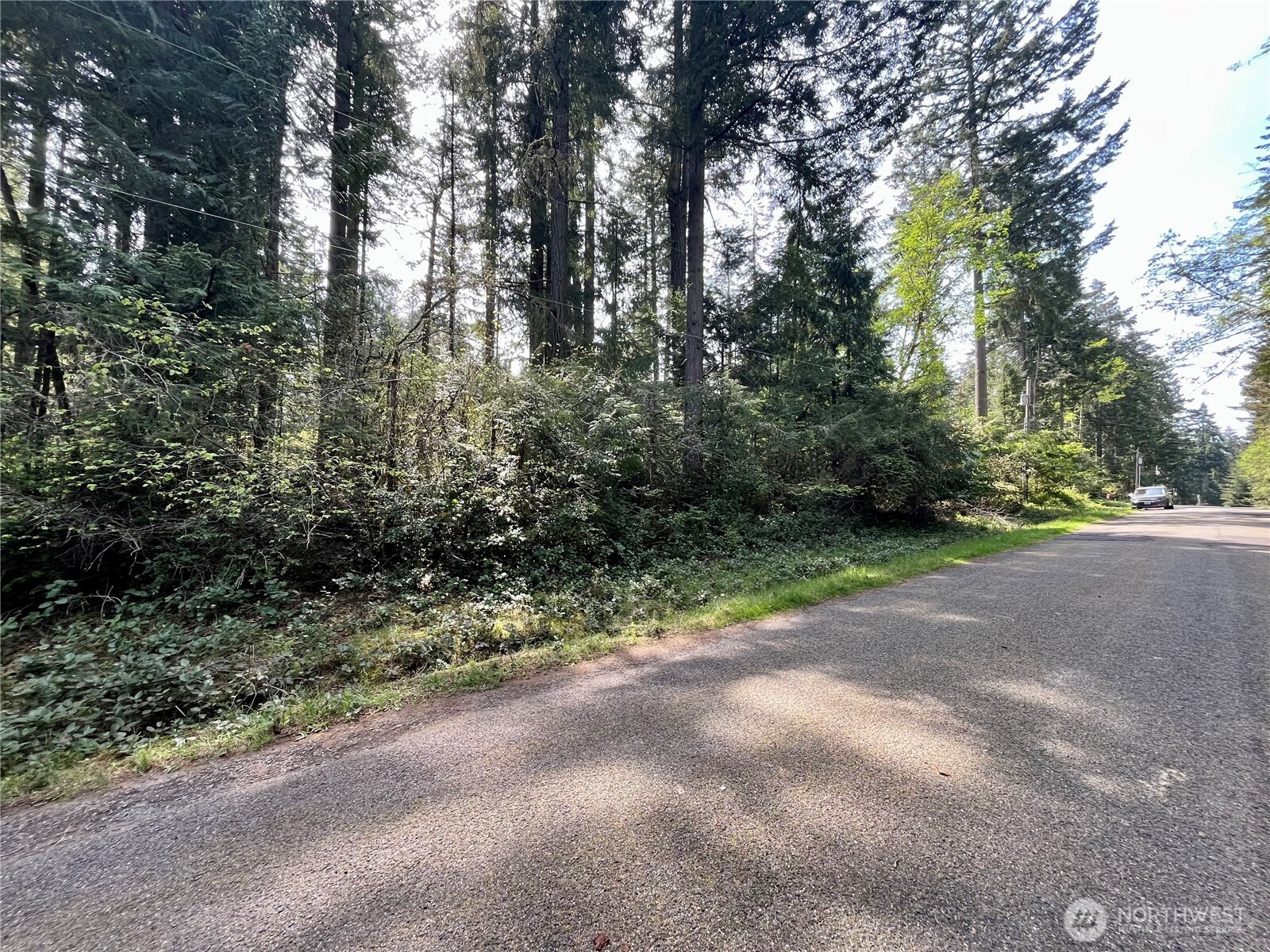 11212-11208 106th Street Anderson Island, WA 98303 - Photo 1 of 17 a view of a yard with plants and trees