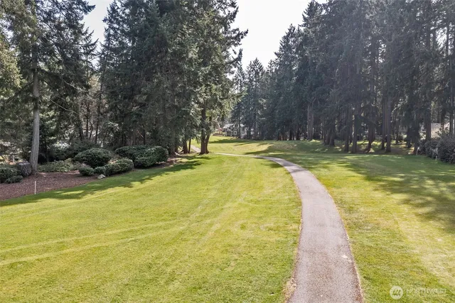 a view of a lake with a trees
