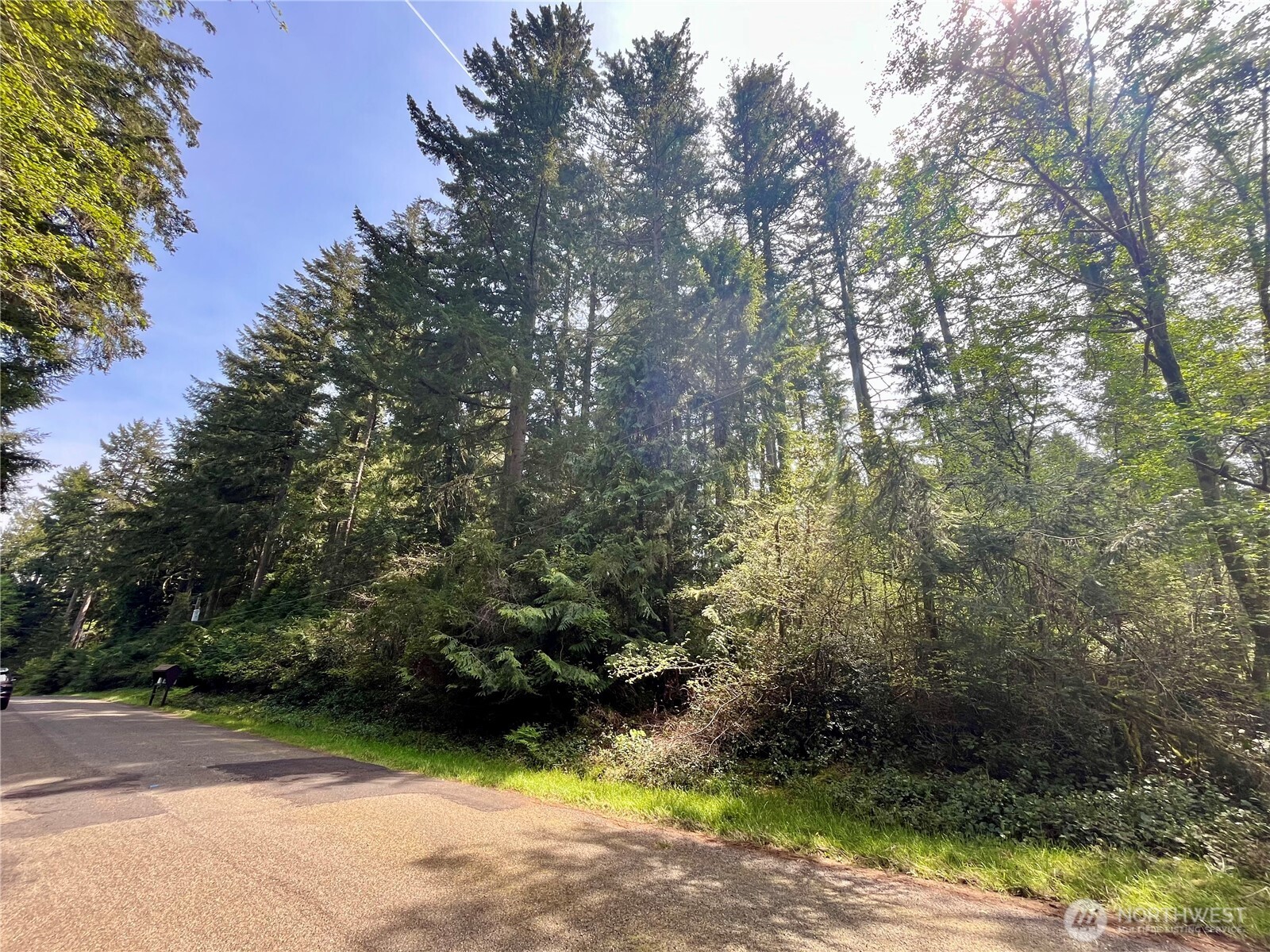 11212-11208 106th Street Anderson Island, WA 98303 - Photo 3 of 17 a view of outdoor space and yard