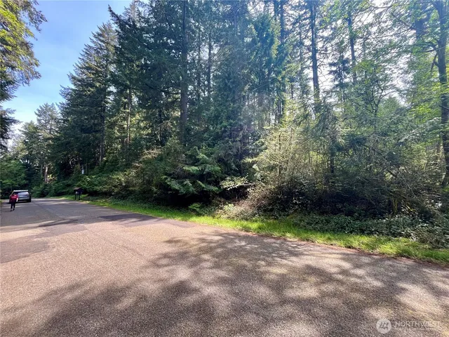 a view of a yard with plants and trees