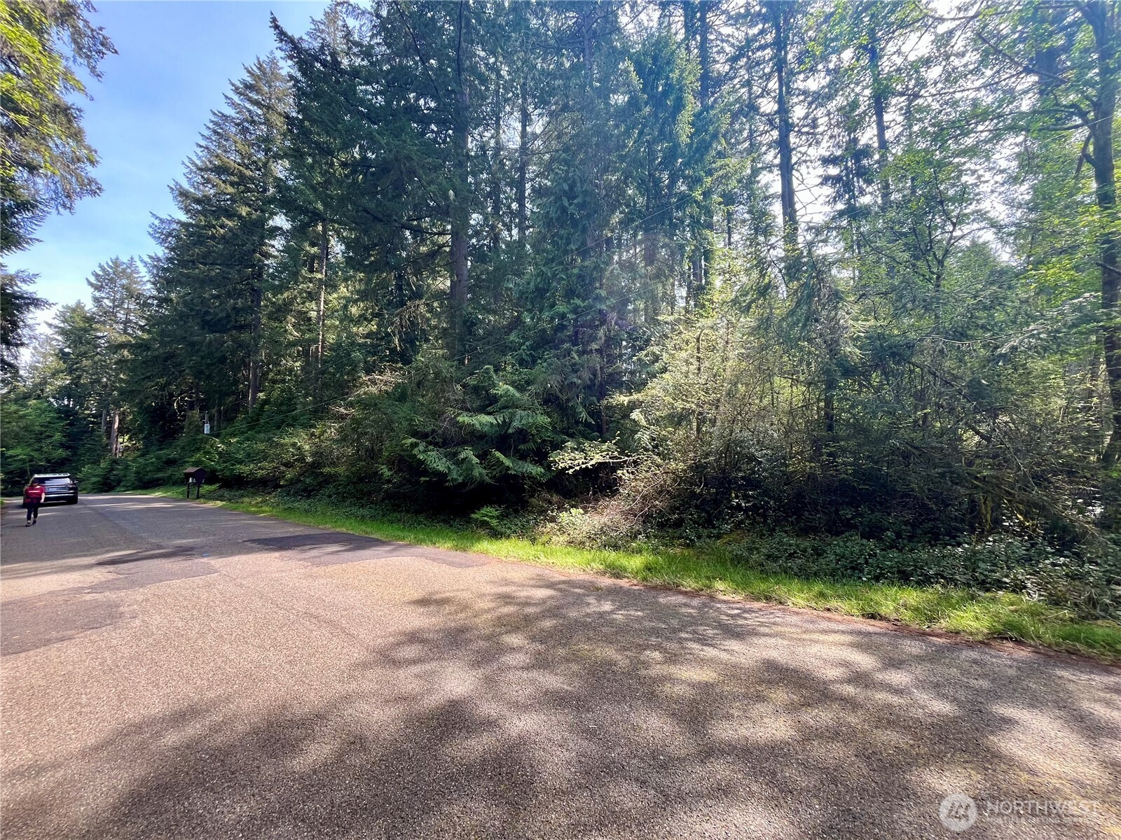 11212-11208 106th Street Anderson Island, WA 98303 - Photo 4 of 17 a view of a yard with plants and trees