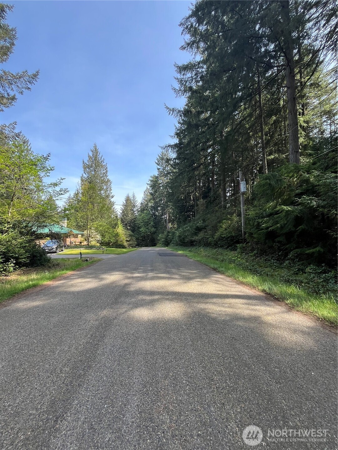 11212-11208 106th Street Anderson Island, WA 98303 - Photo 7 of 17 a view of a field with trees