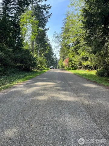 a view of a yard with a large tree