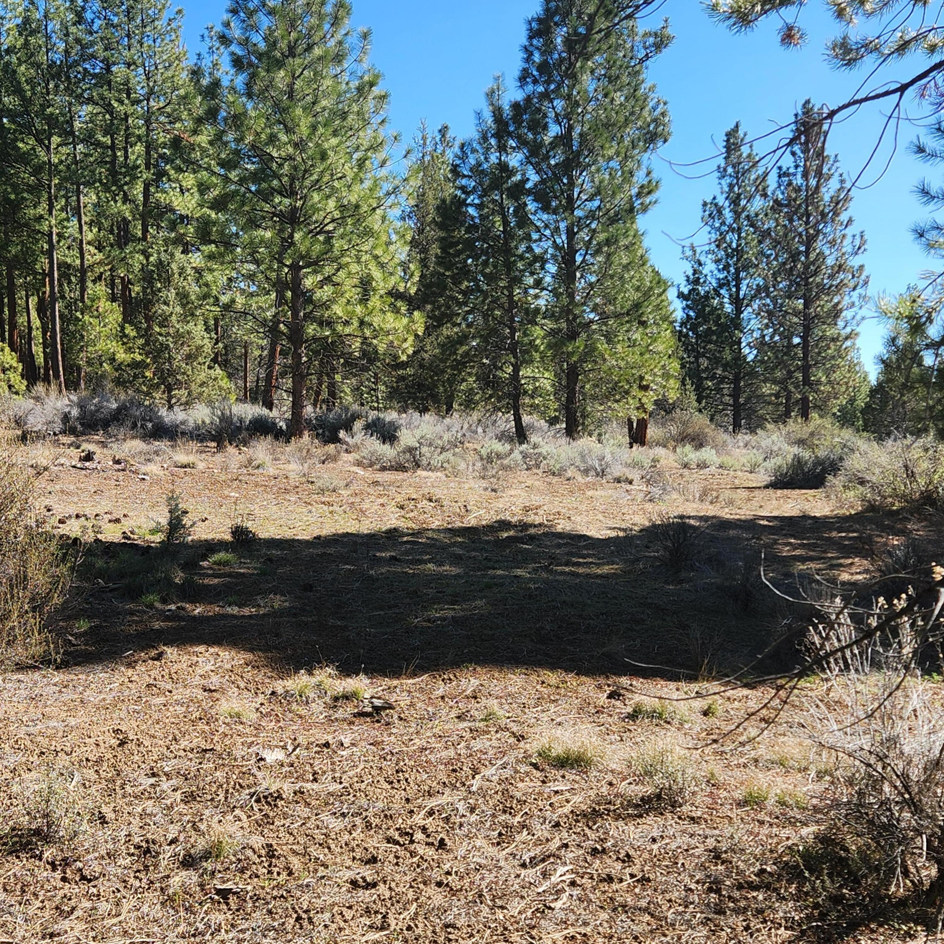 Moccasin Lane Chiloquin, OR 97624 - Photo 15 of 21 a view of a yard of the road