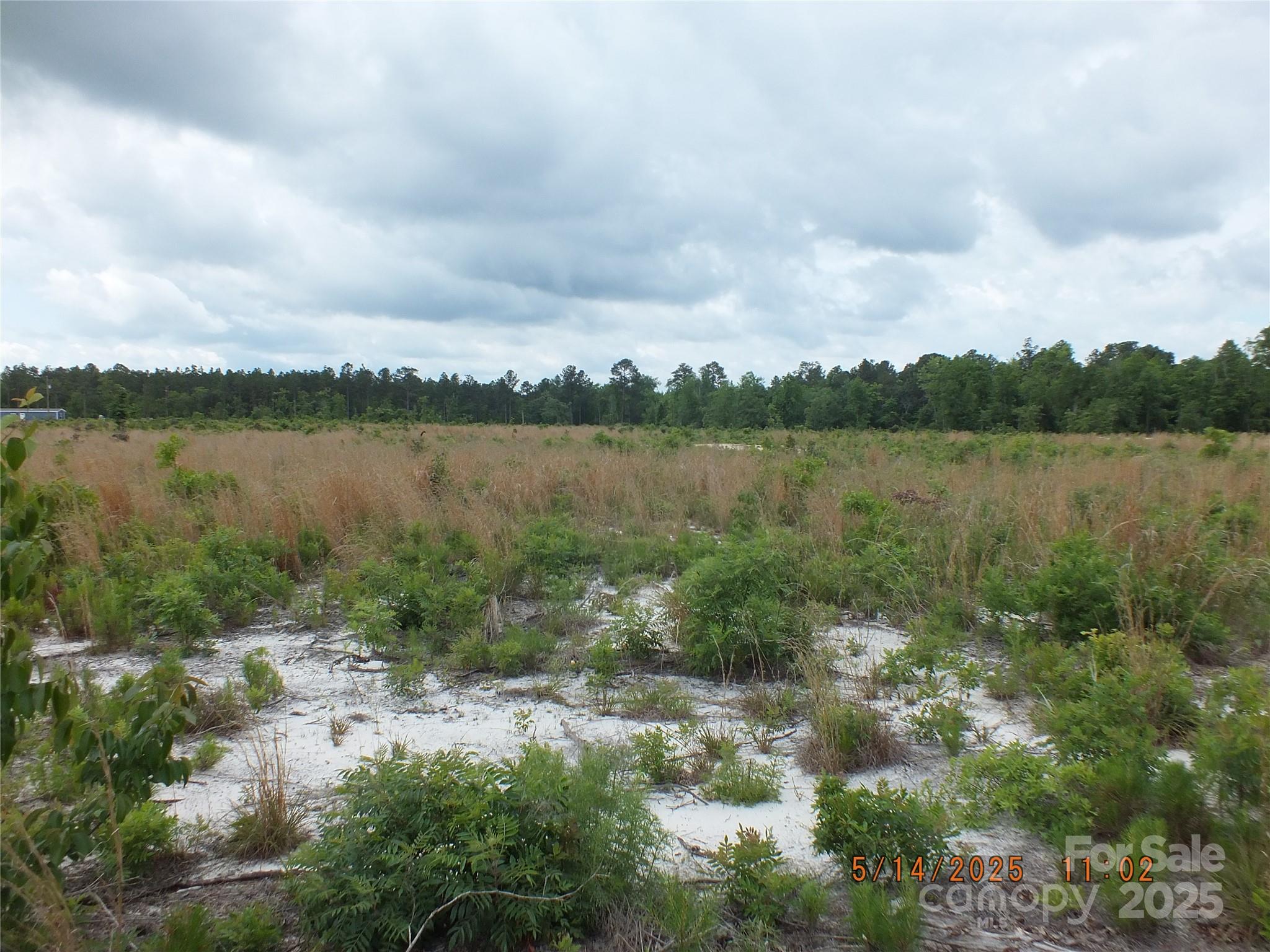 521 Oak Ridge Church Road Kershaw, SC 29067 - Photo 2 of 5 Gallery Image 2