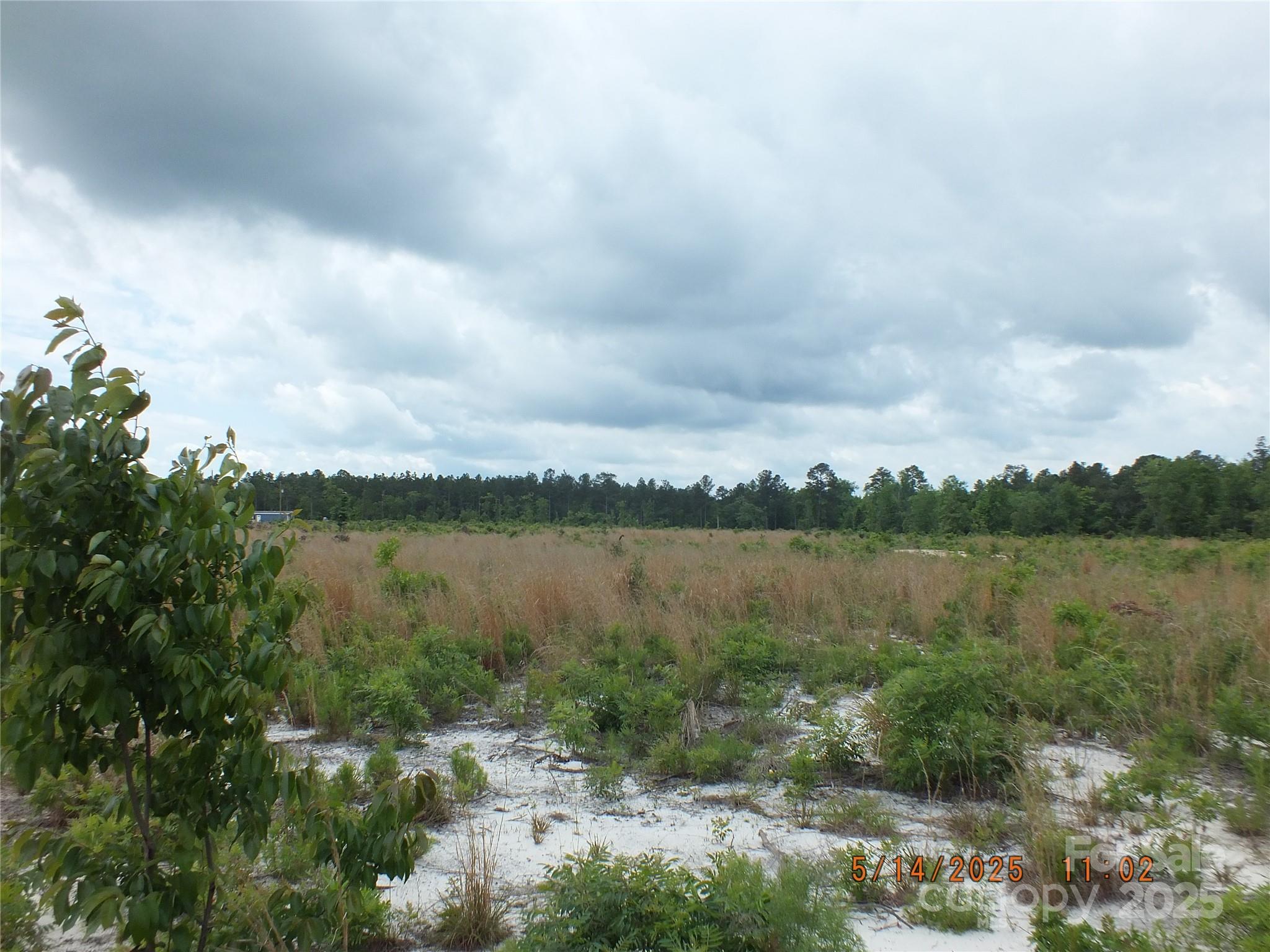 521 Oak Ridge Church Road Kershaw, SC 29067 - Photo 3 of 5 Gallery Image 3