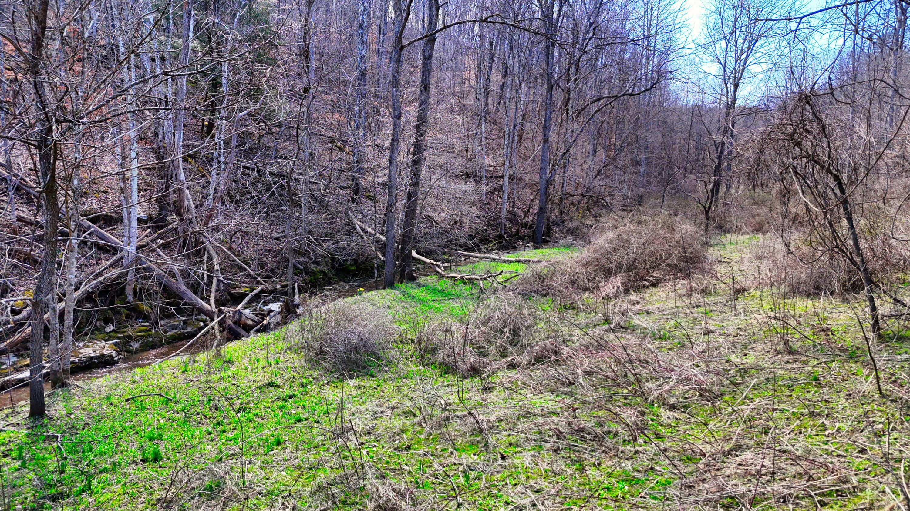 0 Sand Springs Road McKee, KY 40447 - Photo 46 of 58 DJI_20250318131457_0075_D