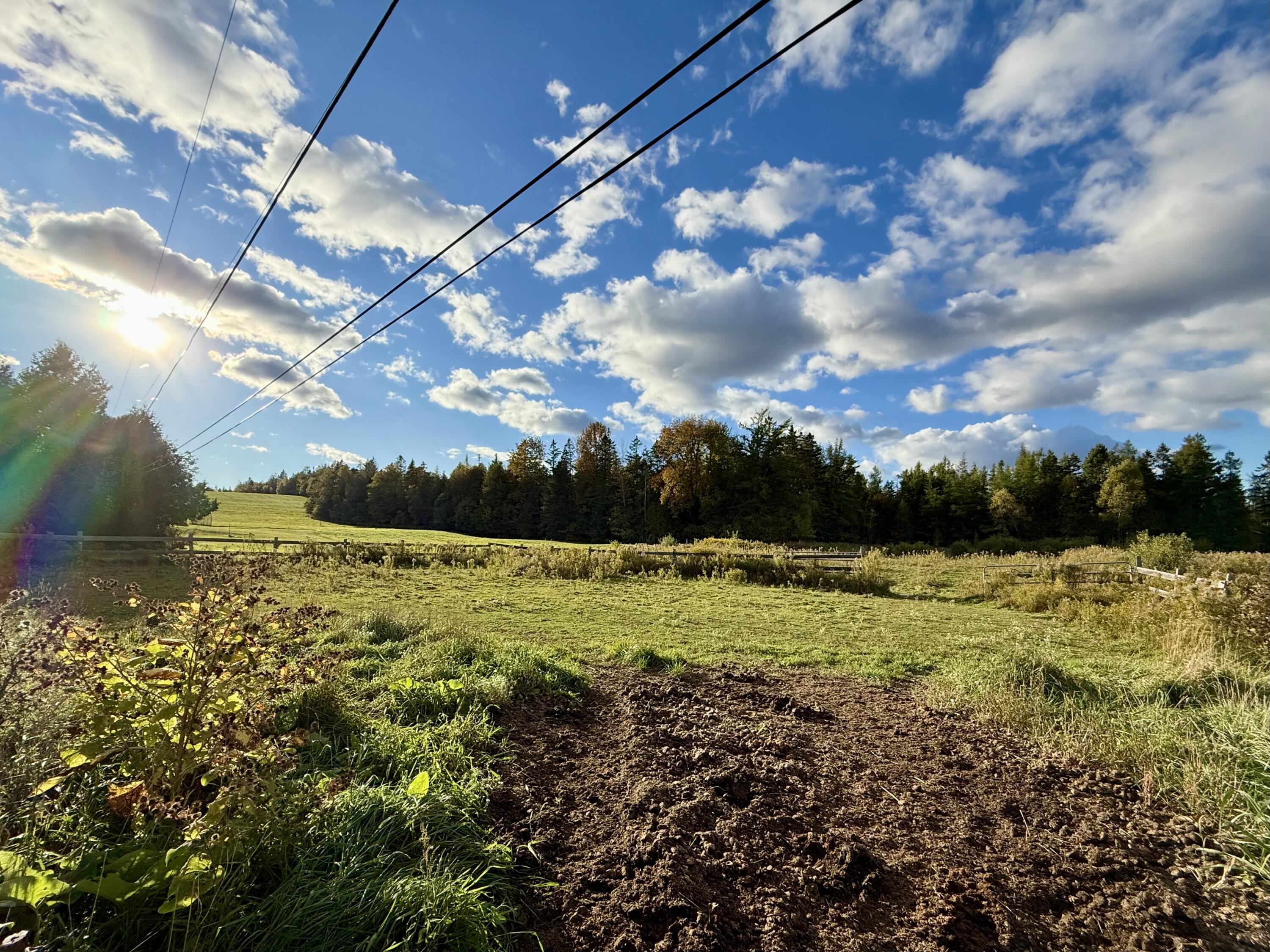 51 Reardon Lane Calais, ME 04619 - Photo 45 of 53 IMG_1877